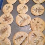 dino cookie